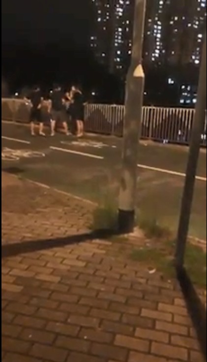 網民Teresa Ng影片截圖