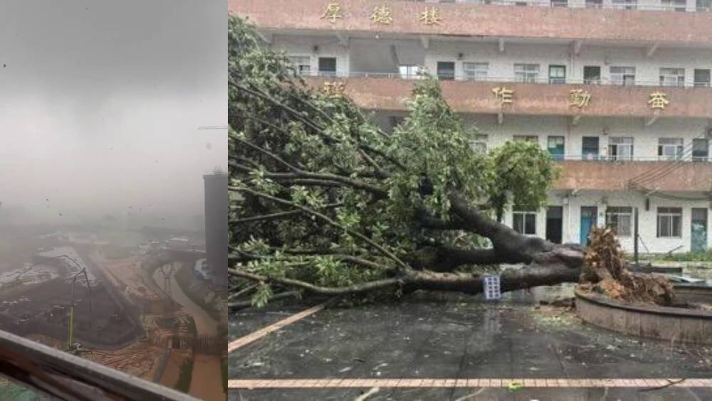 廣州從化驚現龍捲風，吹塌工地棚架及樹木。 