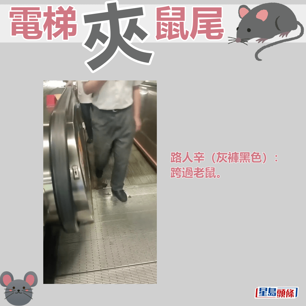 ​路人辛（灰裤黑色）​：跨过老鼠。fb「屯门友」截图