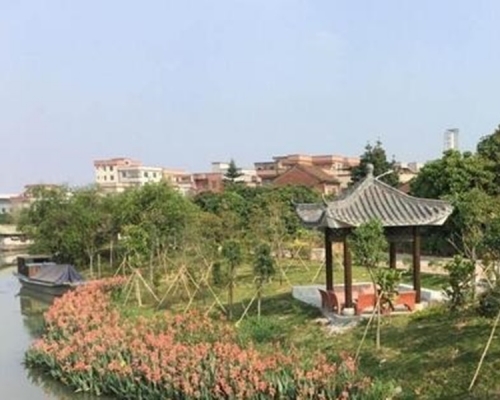 广东省建设森林小镇，推动生态旅游。网图