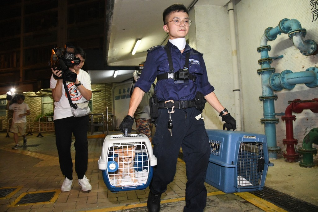遇上動物受傷或被虐待事件，愛護動物協會按情況派出人員將動物帶返愛協檢驗。