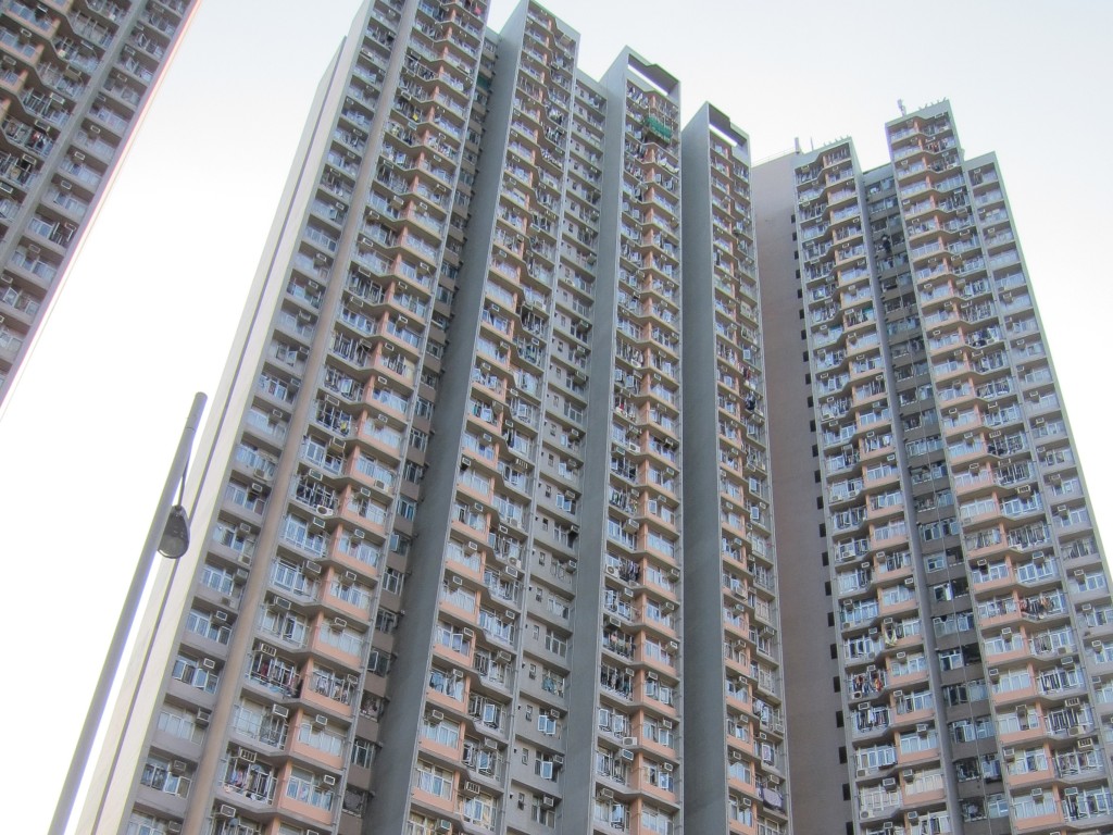 一名利安邨居民在2024年填報資產時，未申報擁有6幅新界北區土地的部份業權。資料圖片