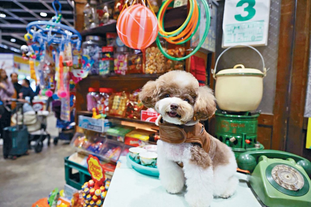 每年的香港寵物節都吸引大量寵主到場消費。