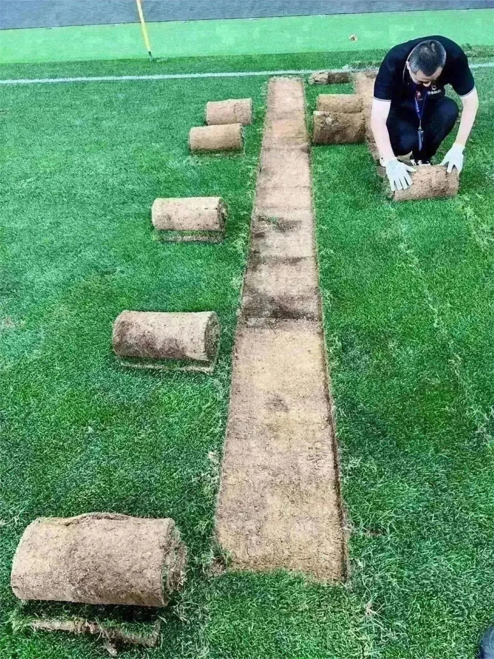 工人将草皮割成小块。