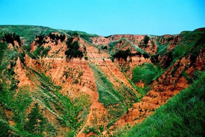 藍田縣上陳舊石器遺址黃土—古土壤剖面景觀。網圖 