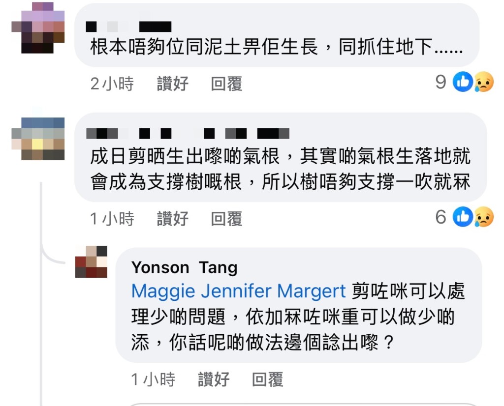 有網民對榕樹倒塌原因提出質疑。fb截圖