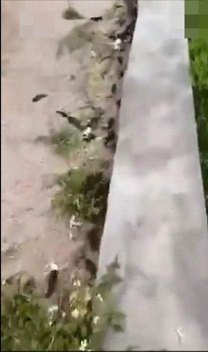 影片截圖
