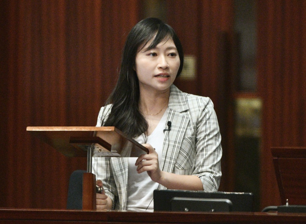 陈颖欣就女童缝针事故在立法会大会提出口头质询。资料图片