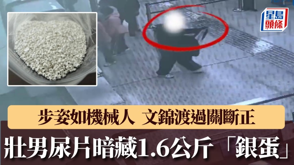 壯男尿片暗藏1.6公斤「銀蛋」文錦渡過關斷正。