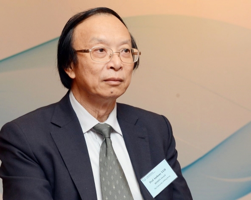 港大教授葉嘉安。資料圖片