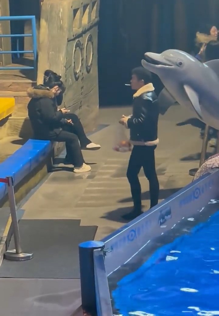 網傳大連一海洋館內,一名男遊客無視吸煙禁令,水池內白鯨噴水淋頭獲激讚。紅星新聞 網傳大連一海洋館內,一名男遊客無視吸煙禁令,水池內白鯨噴水淋頭獲激讚。紅星新聞