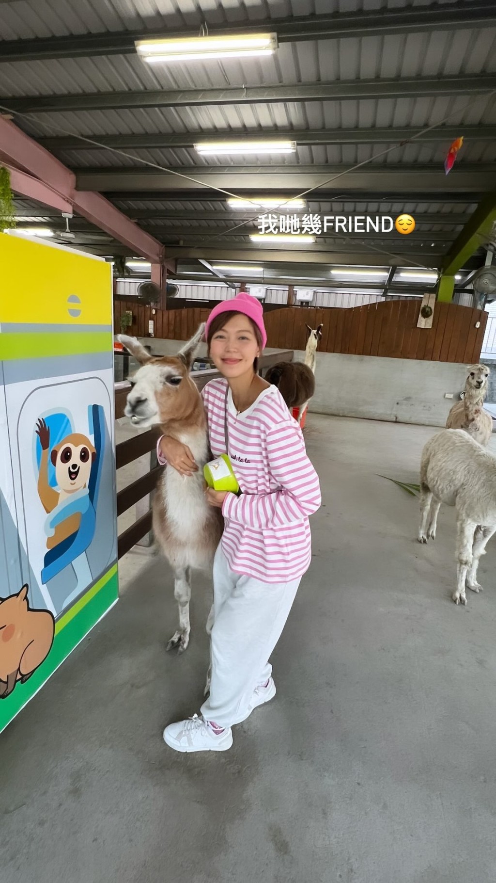 洪永城與梁諾妍去年一家三口去台灣，還到當地農場玩。