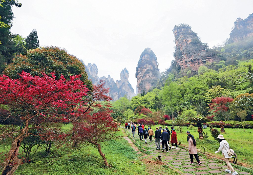 張家界擁有令人驚奇的自然奇景,不少遊客慕名前往觀光。