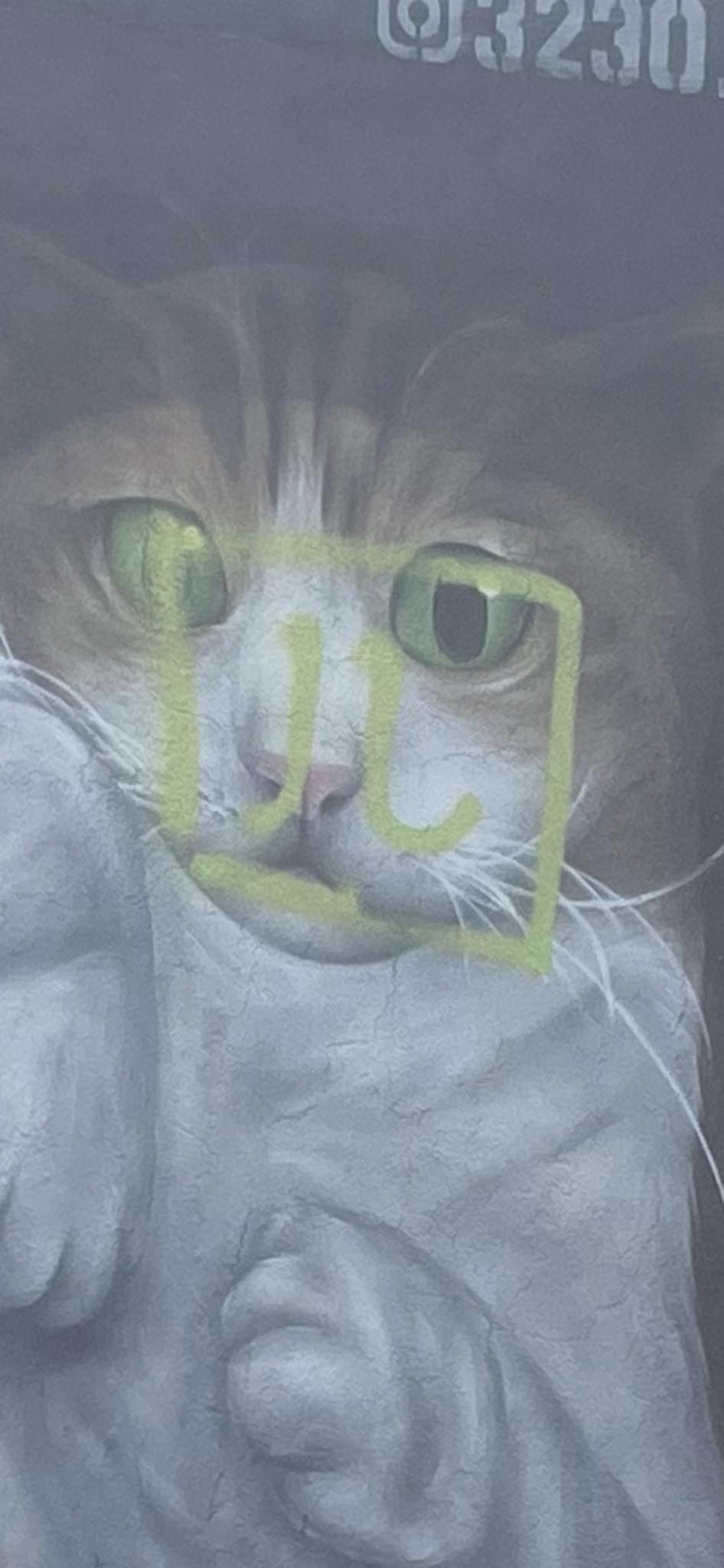 猫咪面部被人用绿色油漆喷上一个像“四”字的符号，非常碍眼。