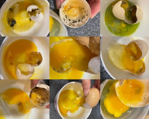 一排15隻雞蛋只有6隻無變壞。網民Venis Chan圖片