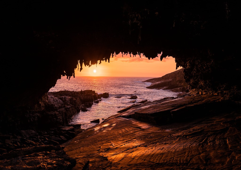 懸崖邊的海豹Live Show