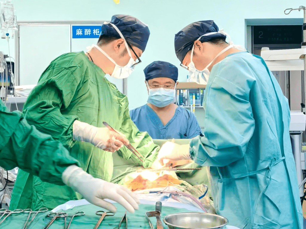 歷經數小時後手術,醫生以「零血管損傷」成功取出枯枝。 歷經數小時後手術,醫生以「零血管損傷」成功取出枯枝。