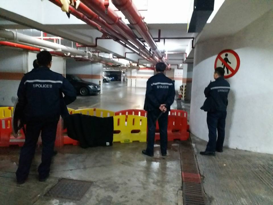 野豬闖入停車場,網民黃宇翰圖片