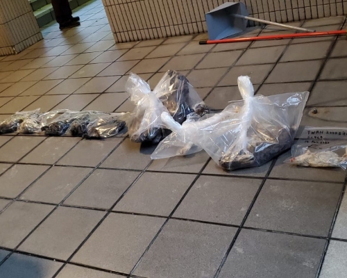 豪景花園今年2月有28隻寵物疑被人從高處擲下。資料圖片