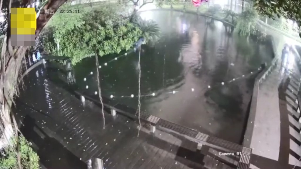4人在事發當晚用漁網捕撈魚。影片截圖