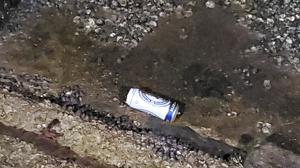 码头石级遗下啤酒罐。蔡楚辉摄  