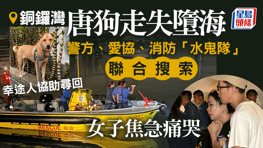 銅鑼灣發生狗隻失蹤事件。