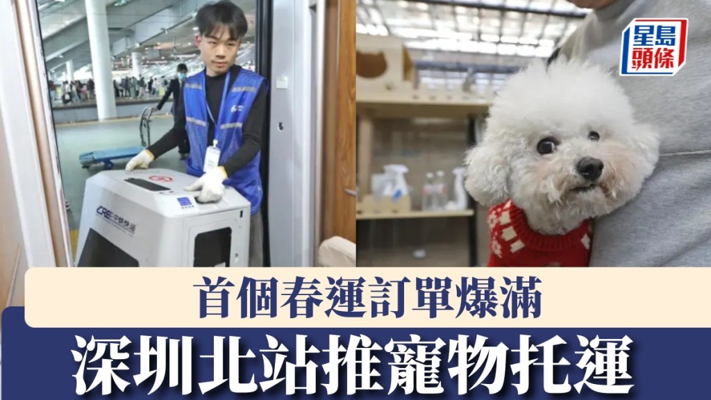 深圳北站推出寵物托運服務後的首個春運，訂單爆滿。 南方都市報