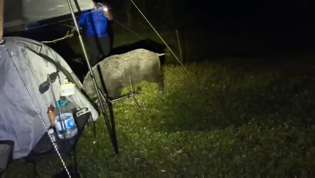 Threads截圖(資料來源:szewai_li@Threads) Threads截圖(資料來源:szewai_li@Threads)