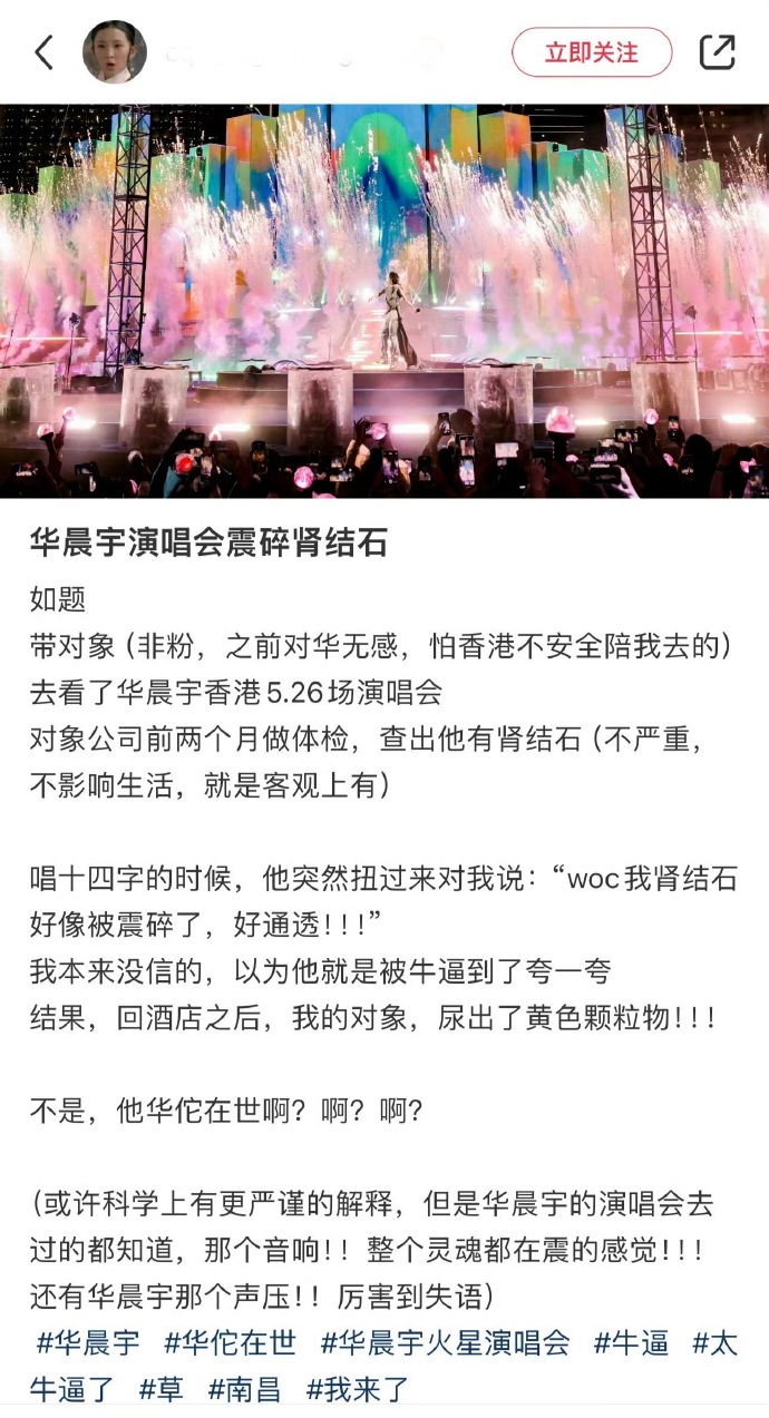網友稱來香港看「華晨宇演唱會震碎腎石」。