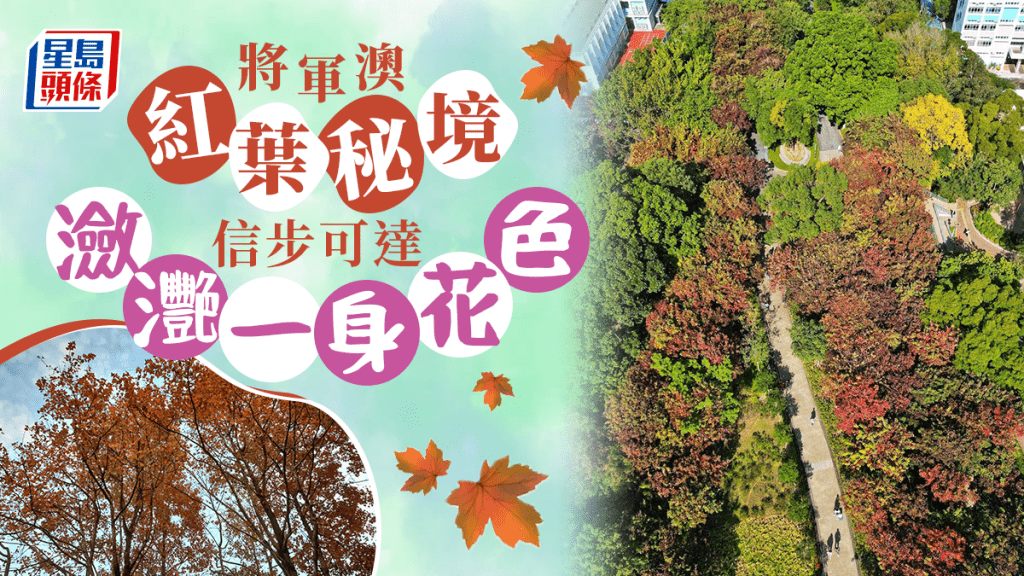 將軍澳紅葉秘景。右圖：朱景榮 （Wing Chu）攝