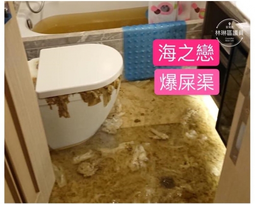 單位廁所滿佈廁紙污水。（荃灣區議員林琳fb專頁圖片）