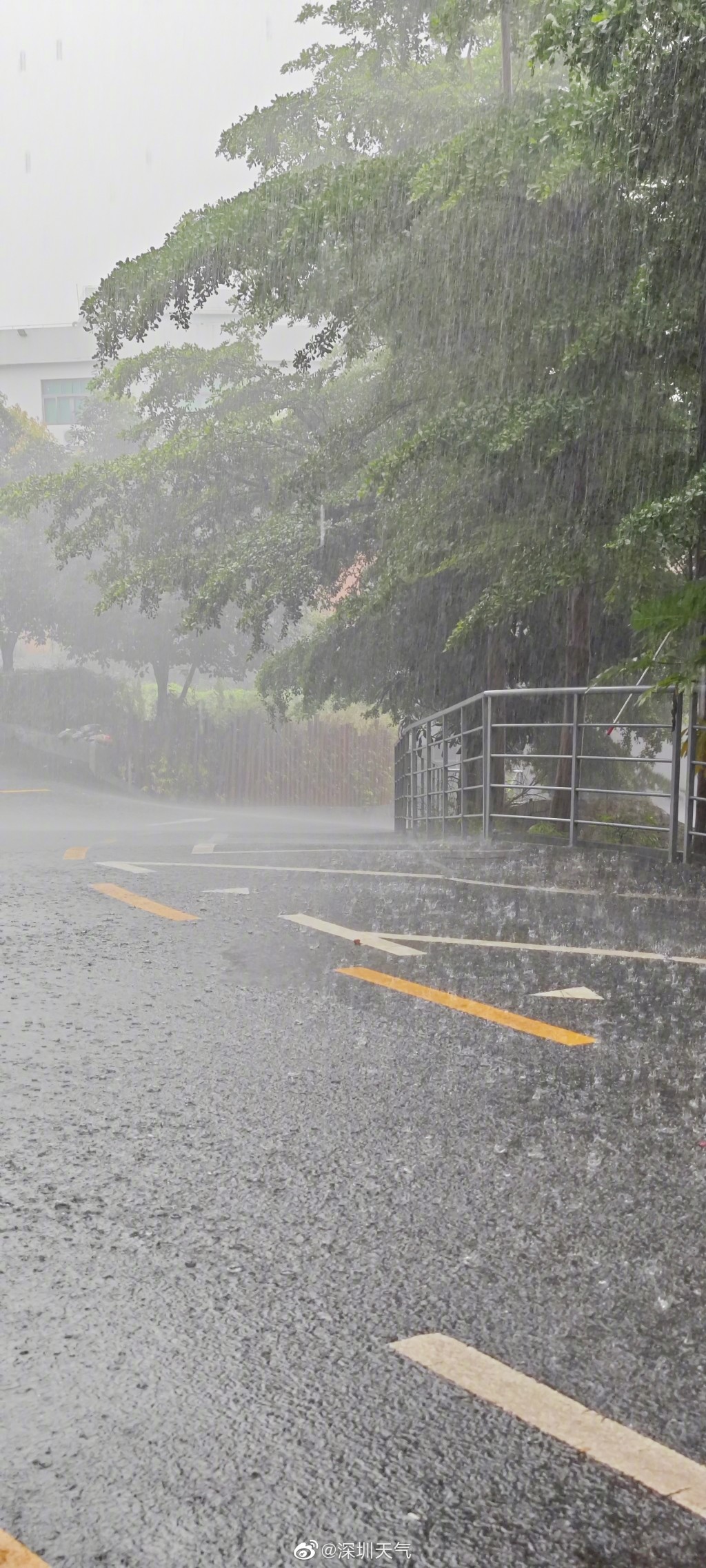 深圳橫風橫雨。