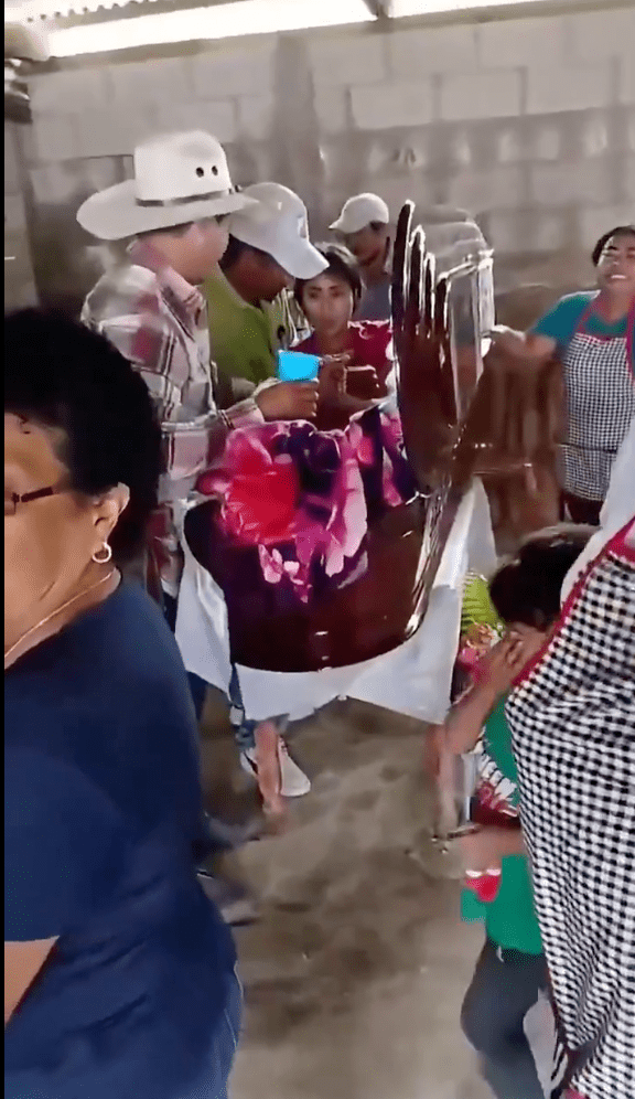 尤蕾蒂失去意識八個小時後,突然從棺木中醒來。 尤蕾蒂失去意識八個小時後,突然從棺木中醒來。
