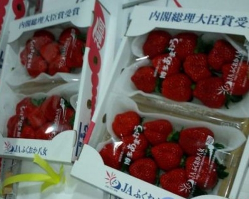 相關產品已被退運或銷毀。網圖