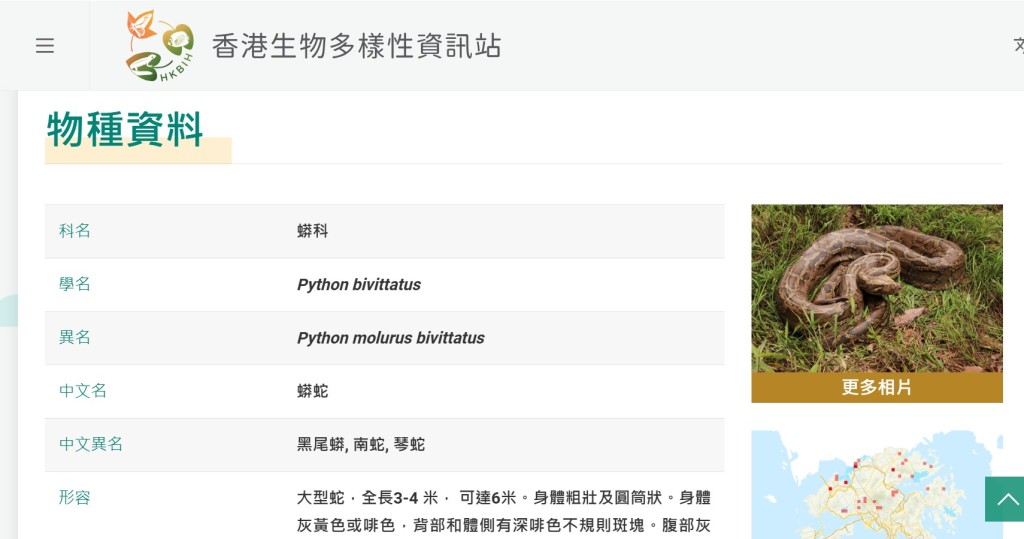 市民可於香港生物多樣性資訊站參閱有關蟒蛇的資料及出沒記錄。網上截圖 市民可於香港生物多樣性資訊站參閱有關蟒蛇的資料及出沒記錄。網上截圖