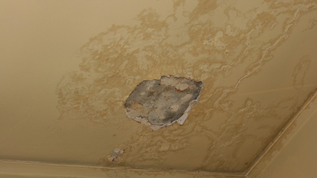 申訴專員公署宣布展開全面調查,詳細審研滲水辦就滲水問題的處理。政府新聞處圖片