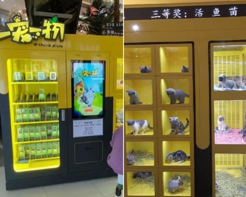 「一寵一物」自動販賣機的玻璃上貼着「玩遊戲積分換萌寵」。