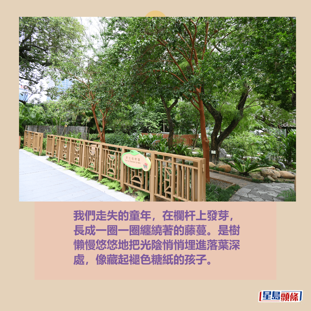 我們走失的童年,在欄杆上發芽, 長成一圈一圈纏繞著的藤蔓。是樹 懶慢悠悠地把光陰悄悄埋進落葉深 處,像藏起褪色糖紙的孩子。資料圖片 我們走失的童年,在欄杆上發芽, 長成一圈一圈纏繞著的藤蔓。是樹 懶慢悠悠地把光陰悄悄埋進落葉深 處,像藏起褪色糖紙的孩子。資料圖片