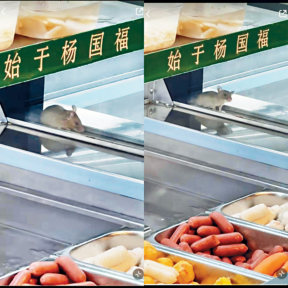 楊國福麻辣燙一門店菜品區出現老鼠。
