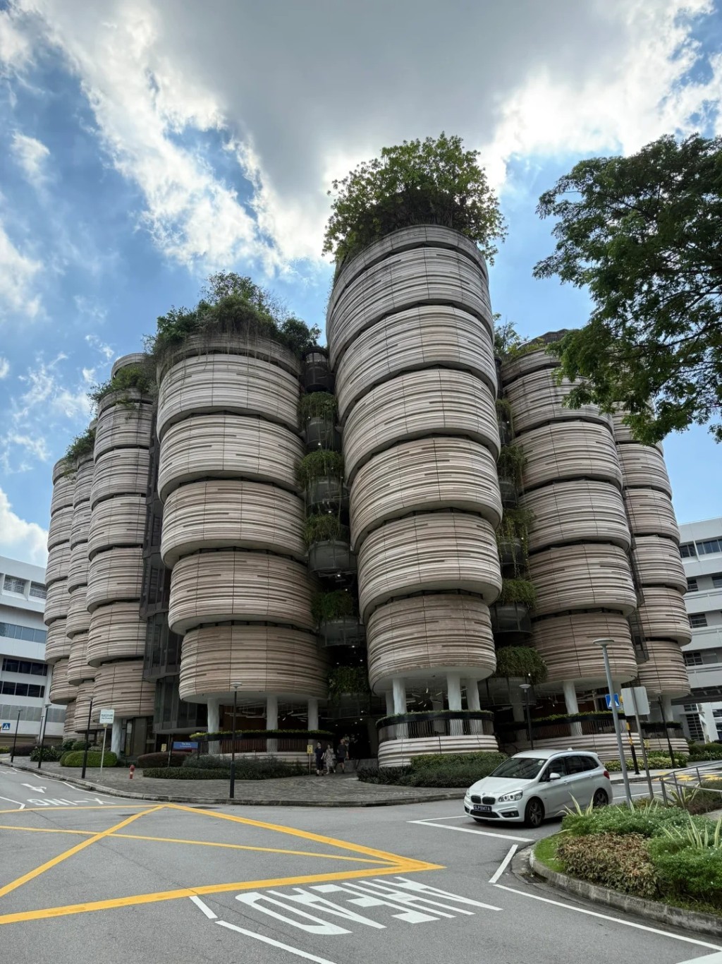 新加坡國立大學以及南洋理工大學均表示再無與太子集團有合作。小紅書@LemonIce 新加坡國立大學以及南洋理工大學均表示再無與太子集團有合作。小紅書@LemonIce