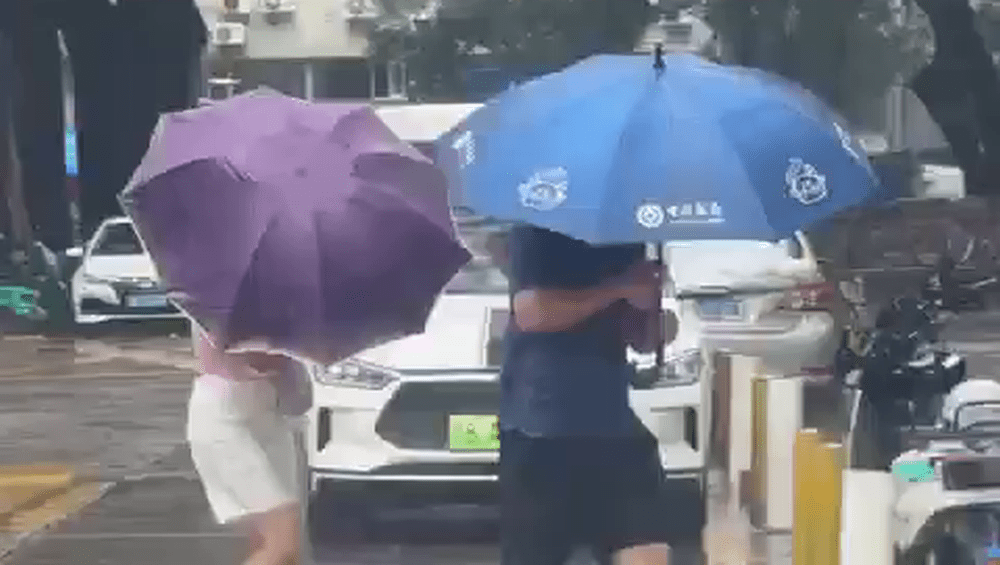 深圳街頭迎有市民早上冒風雨出門。晶報