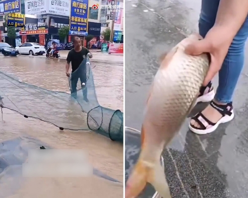 暴雨过后街道变河流， 贵州市民纷纷街上捞鱼，有的甚至拉起了鱼网。