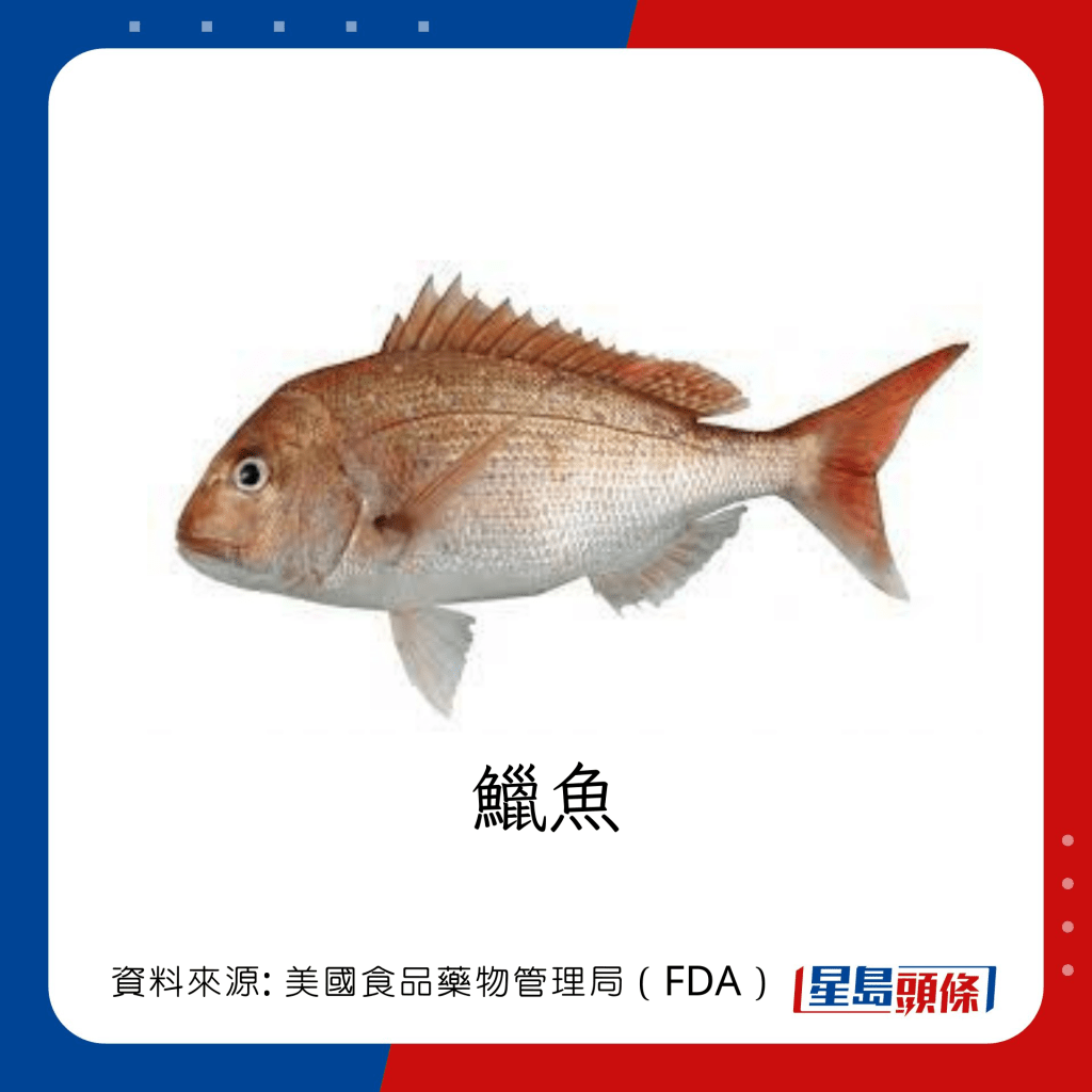 魚類水銀｜水銀含量中等的魚類：鱲魚