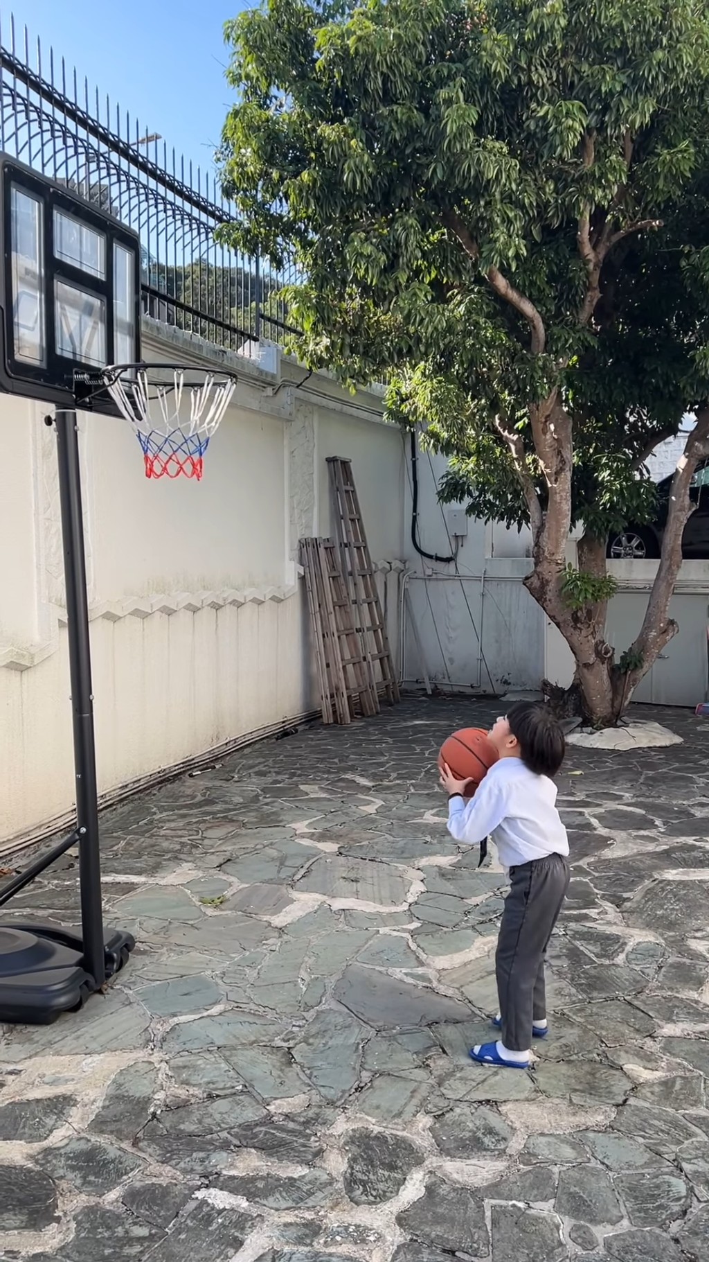林盛斌的6歲細仔穿上校服及拖鞋，在家中的花園打籃球。