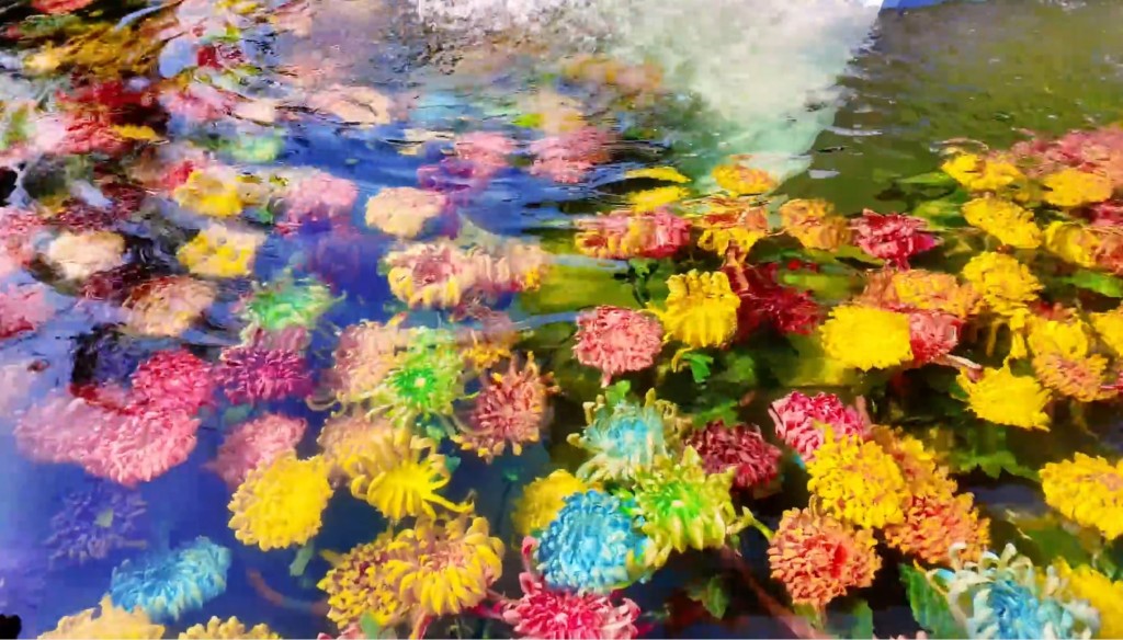 開封水下浮菊打破賞花只可在地上的固有思維，大獲好評。