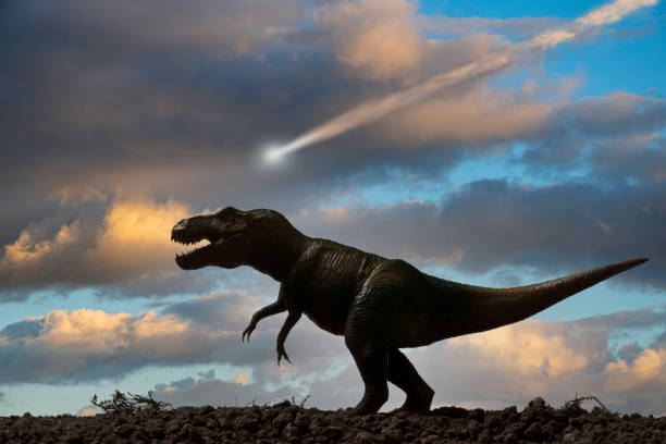 恐龍滅絕相傳與隕石撞擊地球有關。