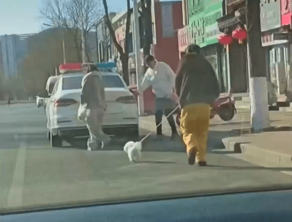 3人未穿制服牽狗狗從警車落下。 網片截圖 3人未穿制服牽狗狗從警車落下。 網片截圖