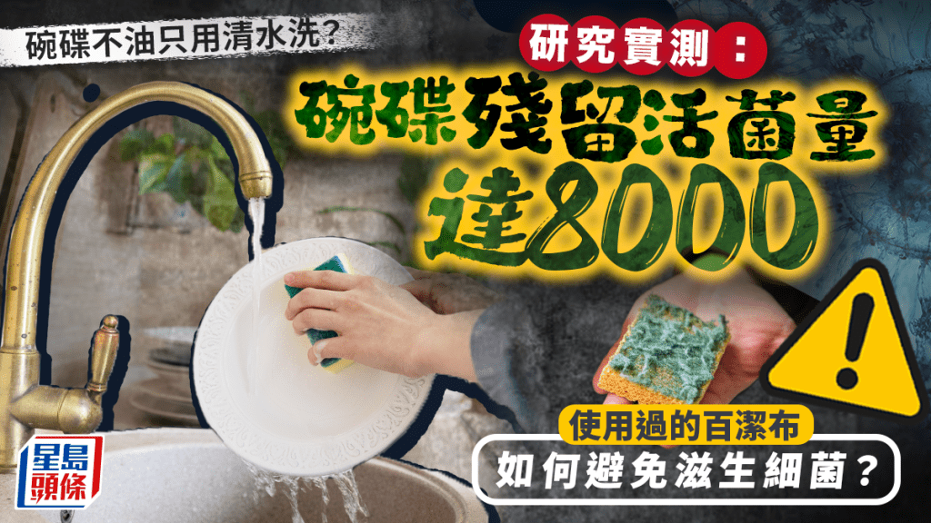 碗碟不油只用清水洗？研究實測殘留活菌量達8000 使用過的百潔布如何避免滋生細菌？