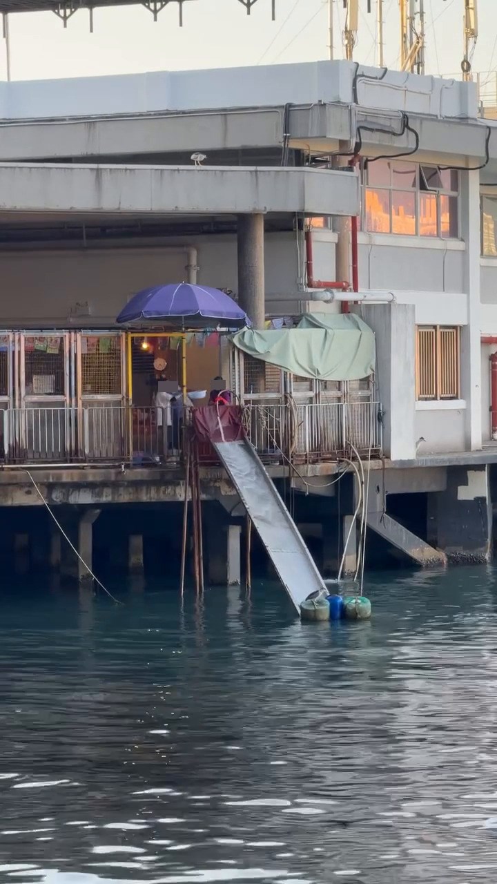 Threads截圖(資料來源:tumtumtummy_tommy@Threads) Threads截圖(資料來源:tumtumtummy_tommy@Threads)