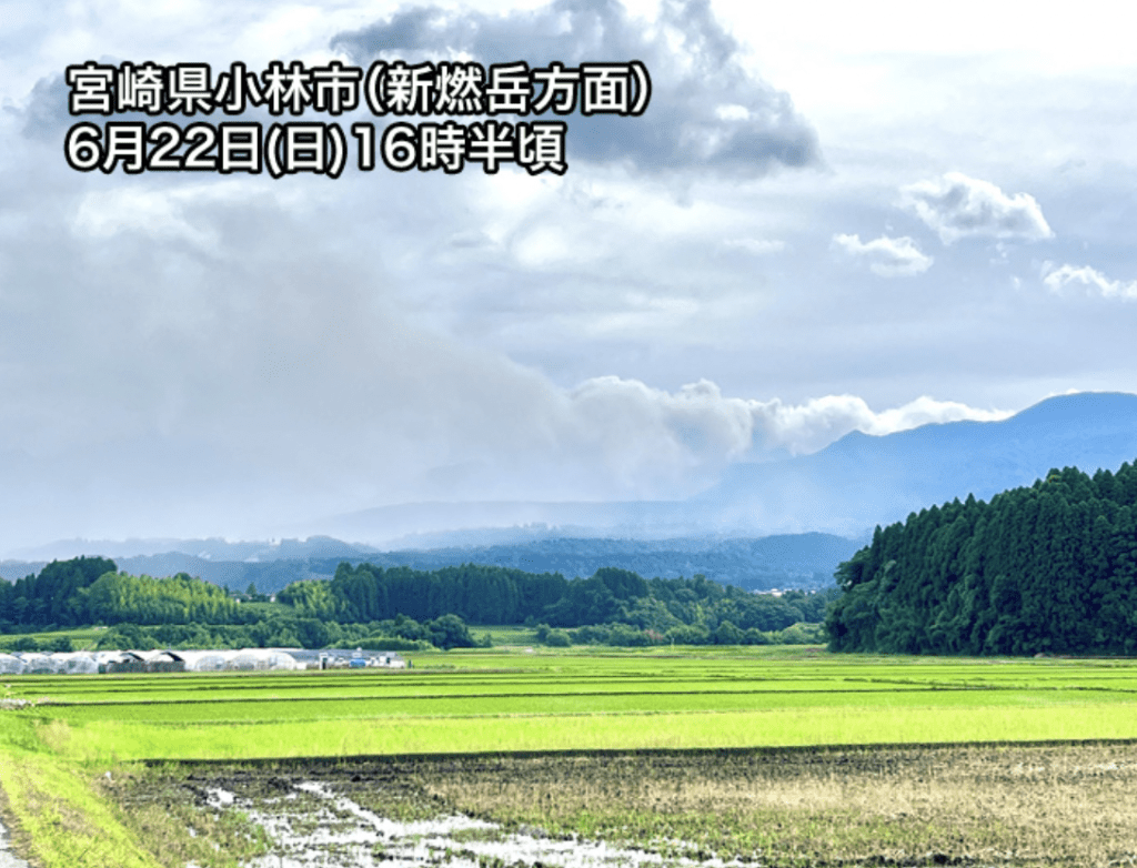 社交平台X@wni_jp 社交平台X@wni_jp